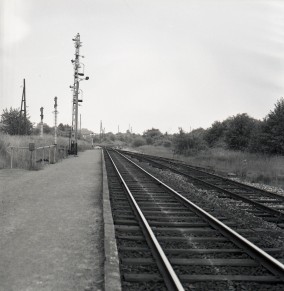 Senzeille - Z10355D (7).jpg